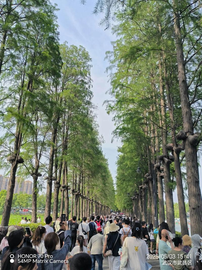武汉休闲好去处在哪？跟小北实地探访东湖绿道的奥秘