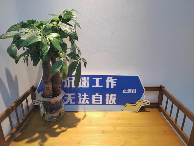 在武汉想找服务好、能安静放松的地方？这位项目经理的经历能帮你避坑