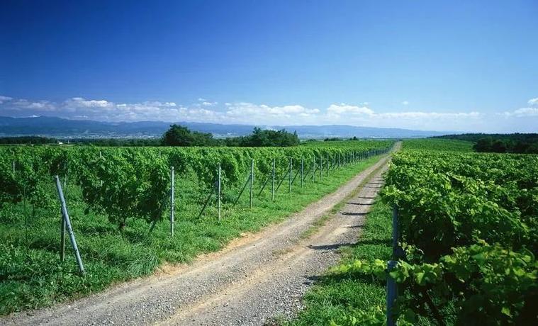 武汉休闲好去处在哪？产品经理小林的探索与启发