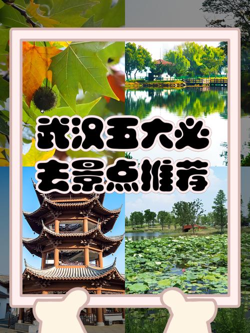 武汉周末去哪玩？这些休闲好去处，本地人也爱去