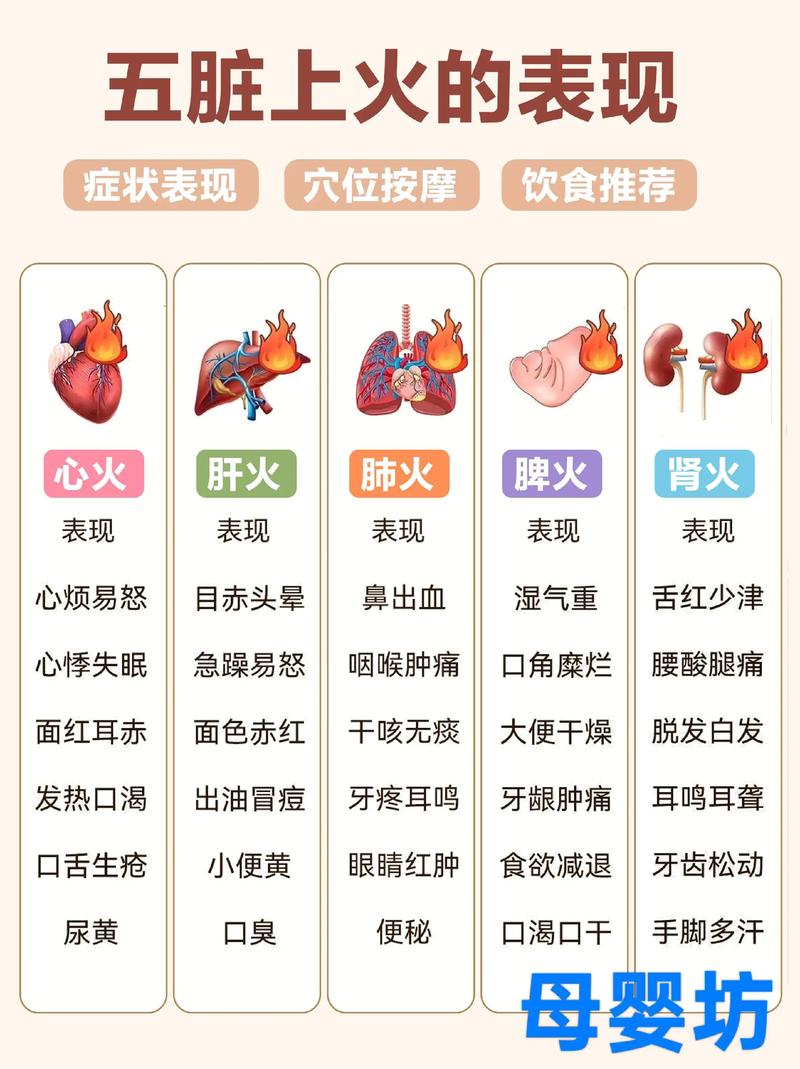 武汉养生指南_养生指南服务中心总部_养生指南服务平台